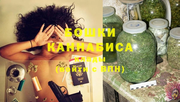 шишки Заволжск