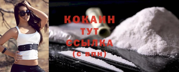 шишки Заволжск