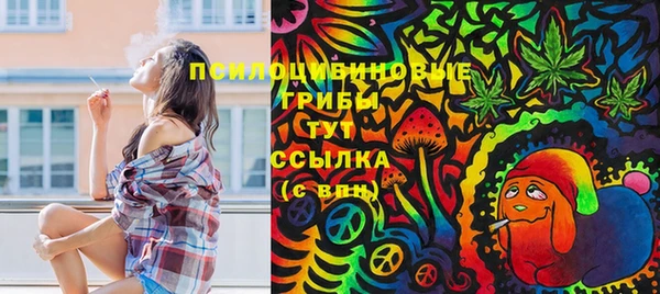 шишки Заволжск