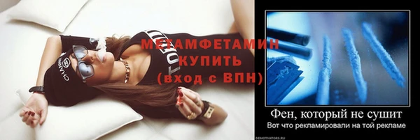 шишки Заволжск