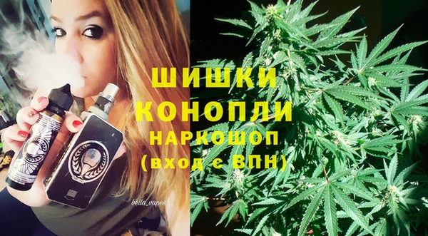 шишки Заволжск