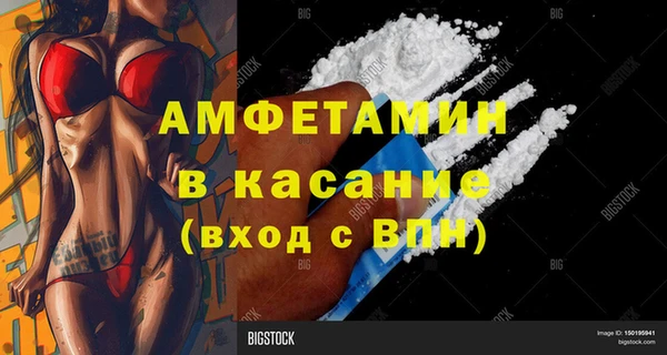 шишки Заволжск