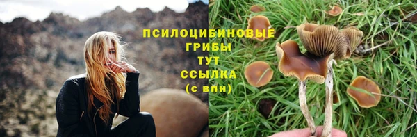 дистиллят марихуана Заводоуковск