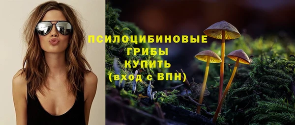 шишки Заволжск